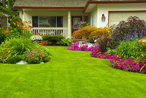 Garden Design Services