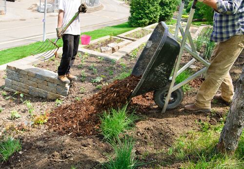 Rock and Soil Delivery